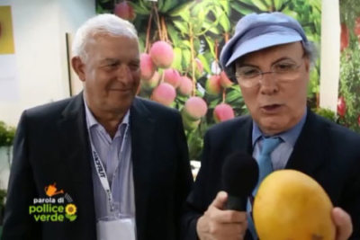Luca Sardella intervista Uzi Cairo dell'azienda agricola Cairo & Doutcher al Macfrut 2018 riguardo le nuove coltivazioni di mango, avocado e litchi. Estratto del servizio di Pollice Verde andato in onda il 26 maggio 2018